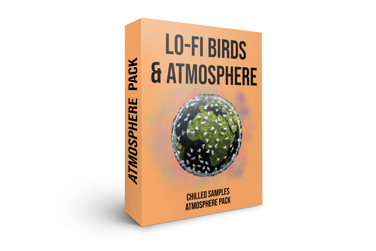 Lo-fi Birds & Atmosphere
