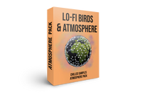 Lo-fi Birds & Atmosphere