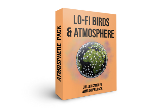 Lo-fi Birds & Atmosphere